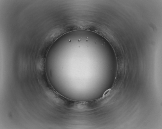 X0000111490078200907141247