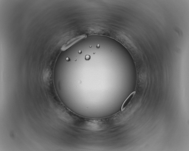 X0000111490079200907141247