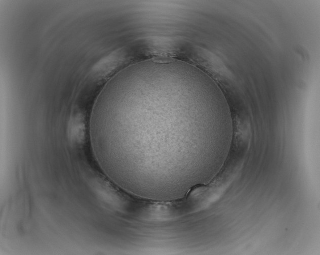 X0000111490080200907141247