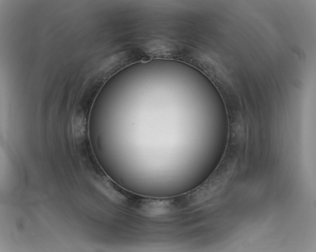 X0000111490081200907141247