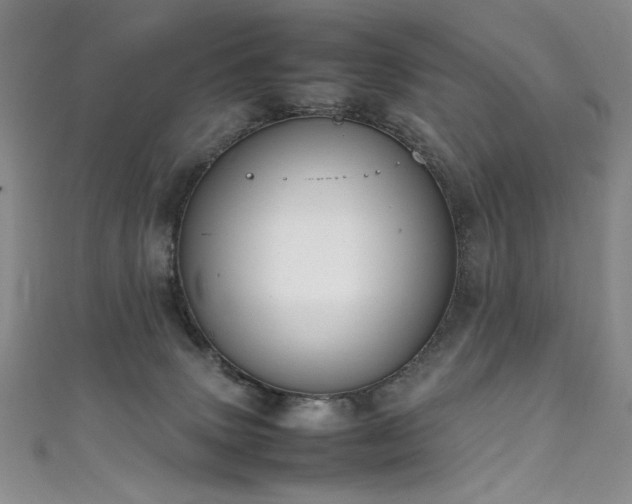 X0000111490083200907141247