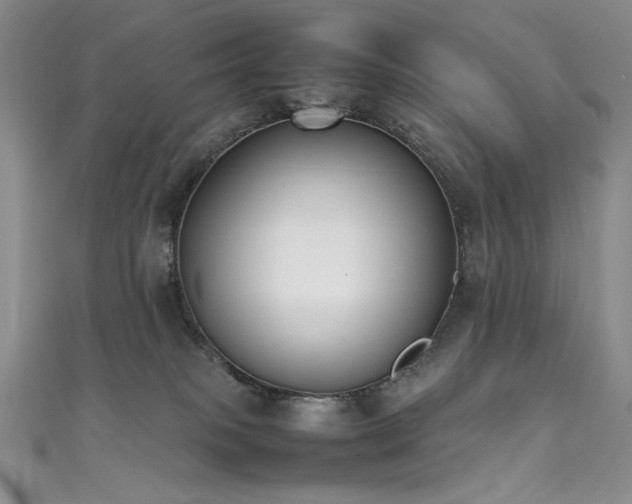 X0000111490085200907141247