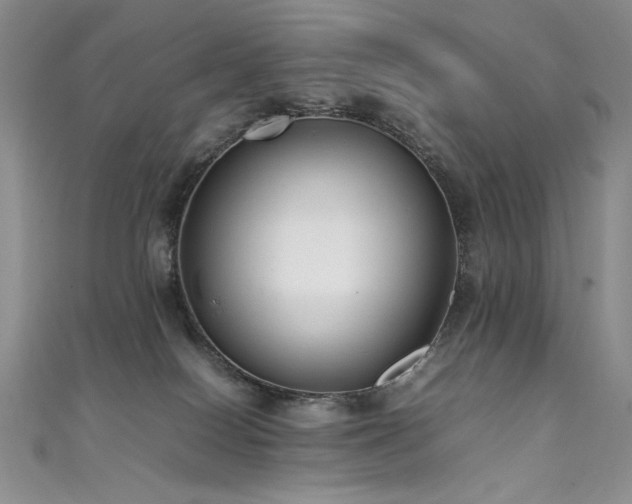 X0000111490086200907141247