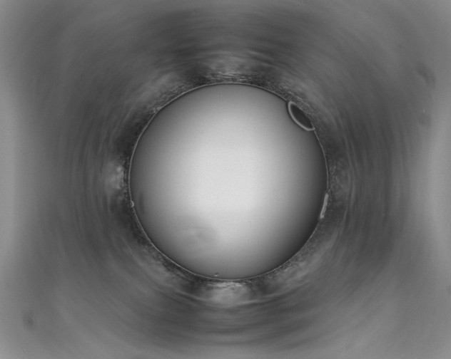 X0000111490087200907141247