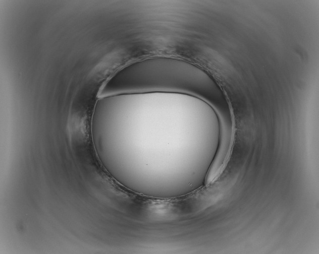 X0000111490088200907141247