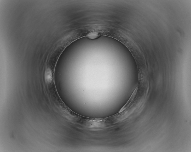 X0000111490089200907141247