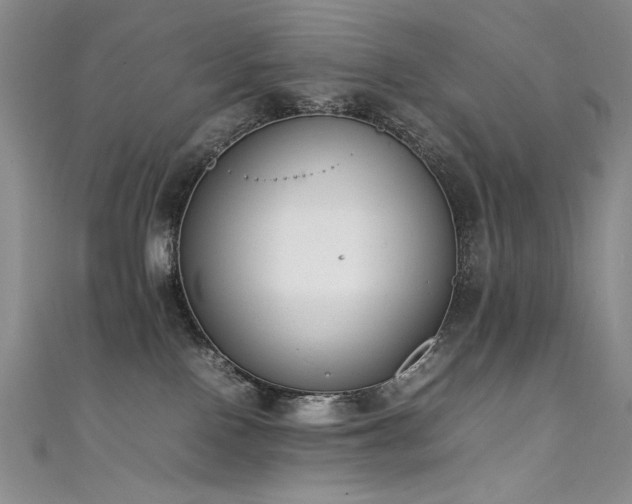 X0000111490090200907141247