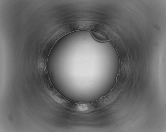 X0000111490091200907141247