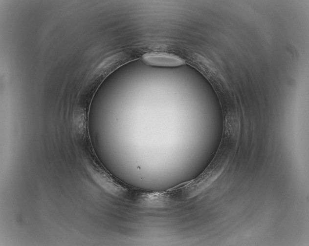 X0000111490092200907141247