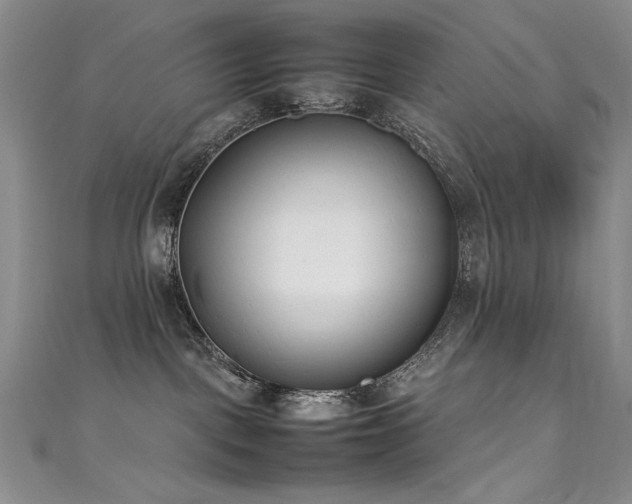 X0000111490093200907141247