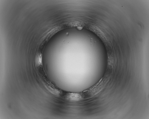 X0000111490095200907141247