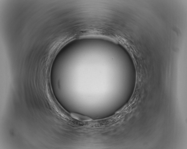 X0000111490097200907141247