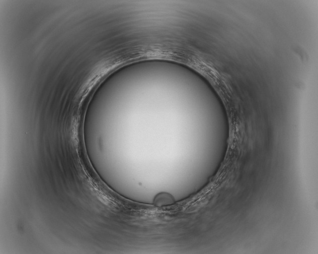 X0000111490098200907141247