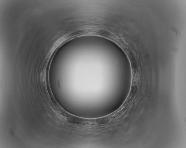 X0000111490099200907141247