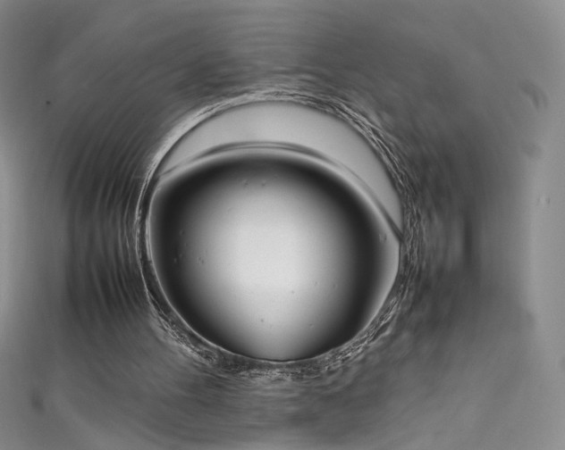 X0000111490100200907141247