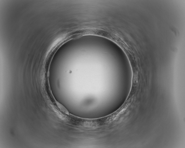 X0000111490101200907141247