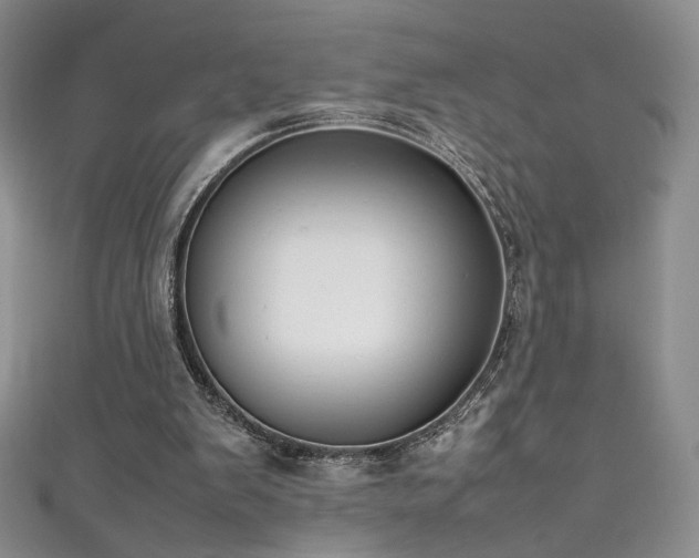 X0000111490103200907141247