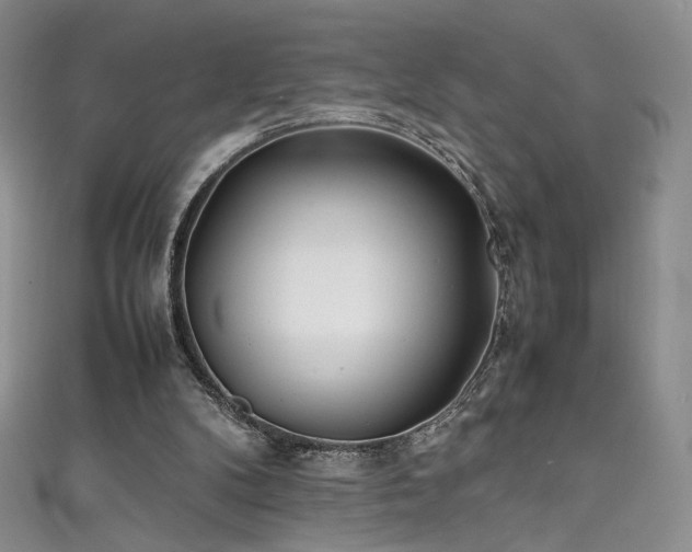 X0000111490104200907141247