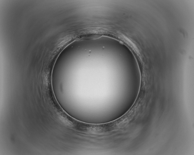 X0000111490105200907141247