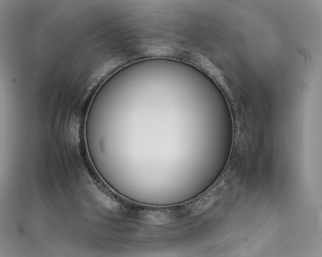 X0000111490106200907141247