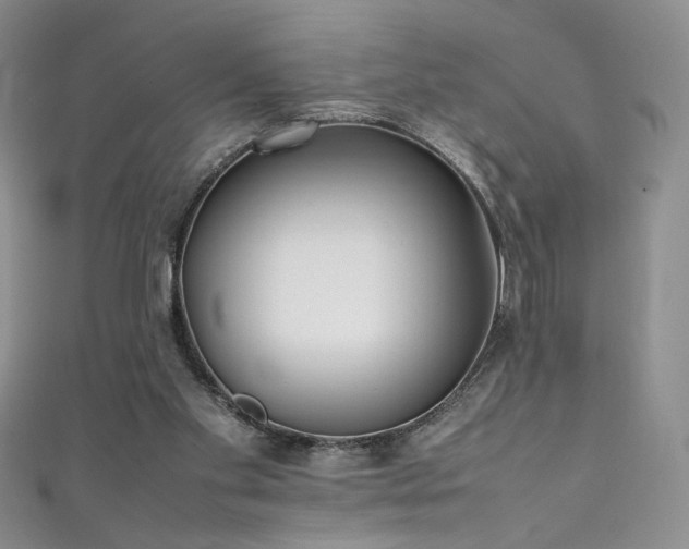 X0000111490109200907141247