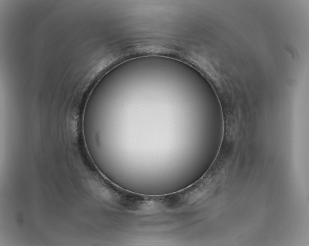 X0000111490111200907141247