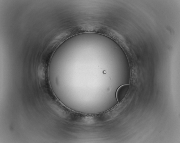 X0000111490114200907141247