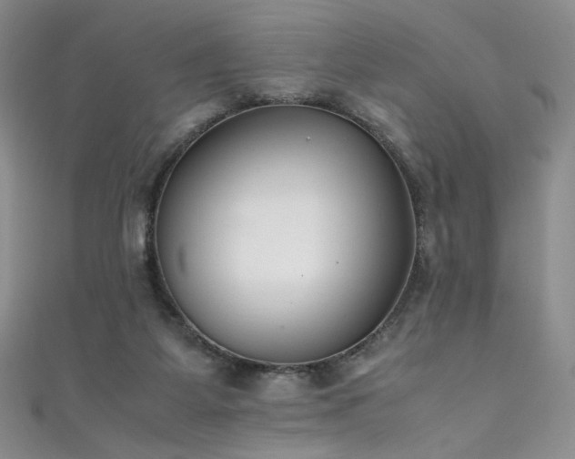 X0000111490115200907141247