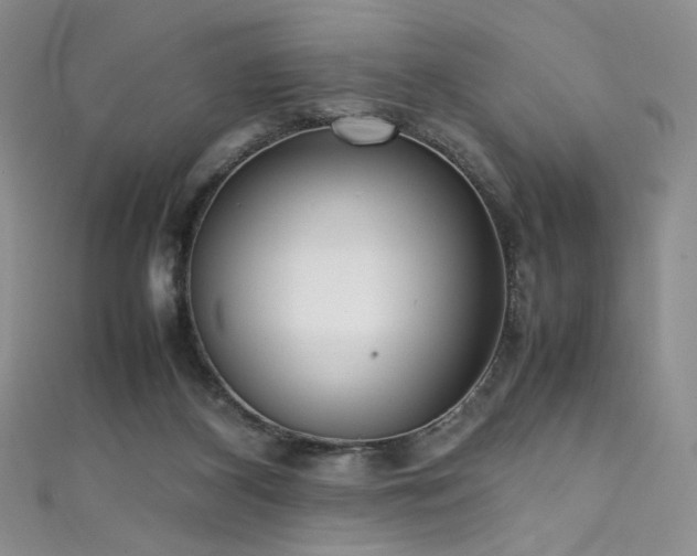 X0000111490116200907141247