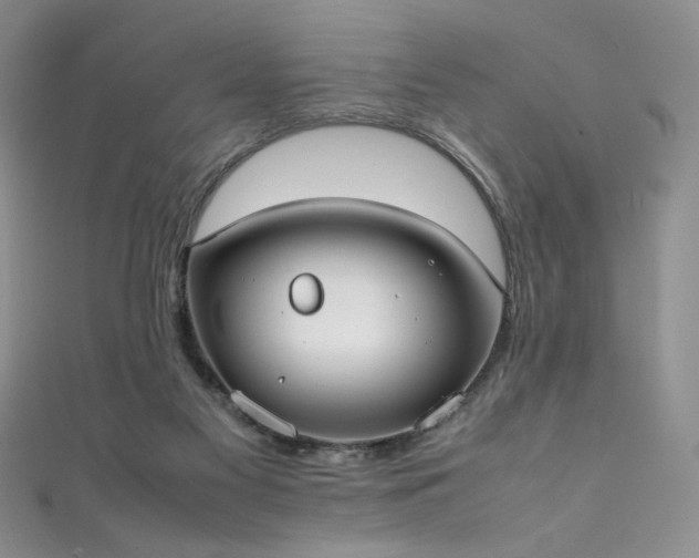 X0000111490117200907141246