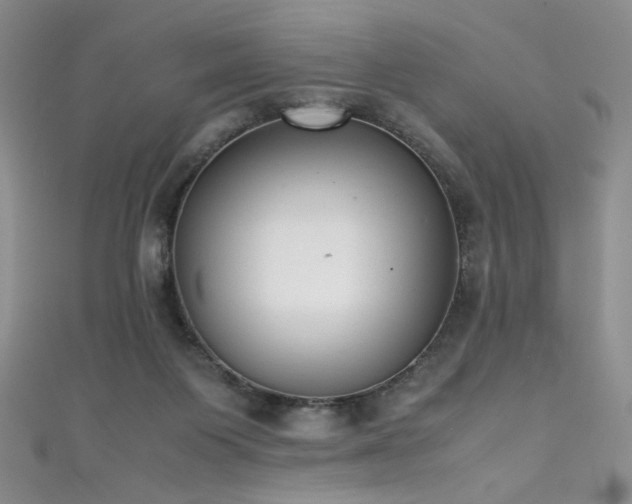 X0000111490119200907141246