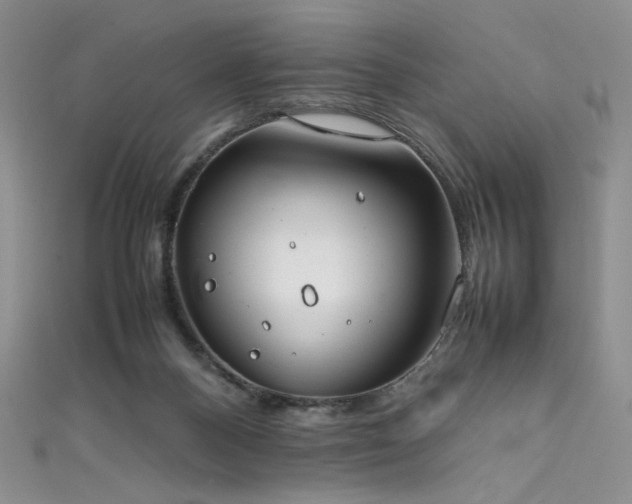 X0000111490120200907141246