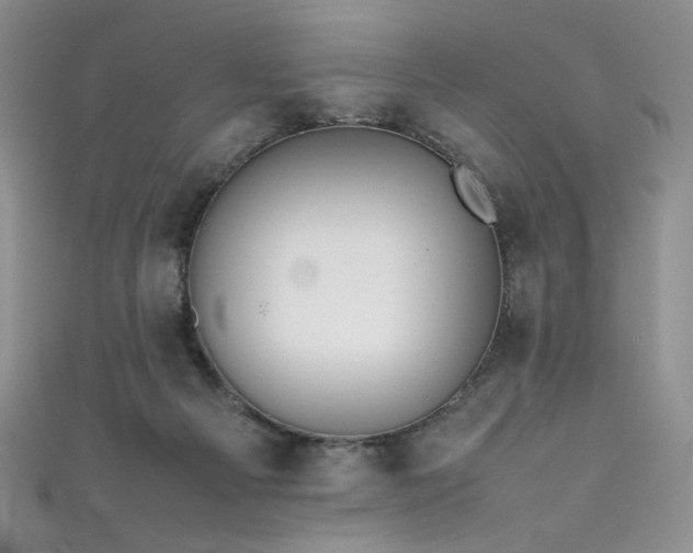 X0000111490121200907141246