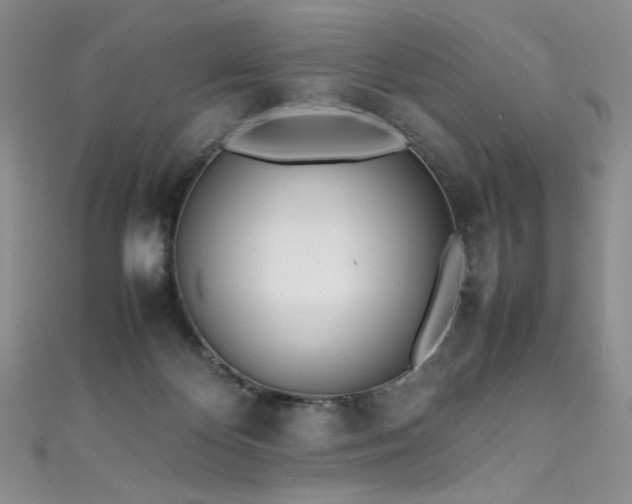 X0000111490124200907141246