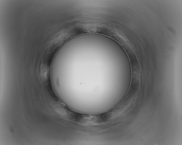 X0000111490125200907141246