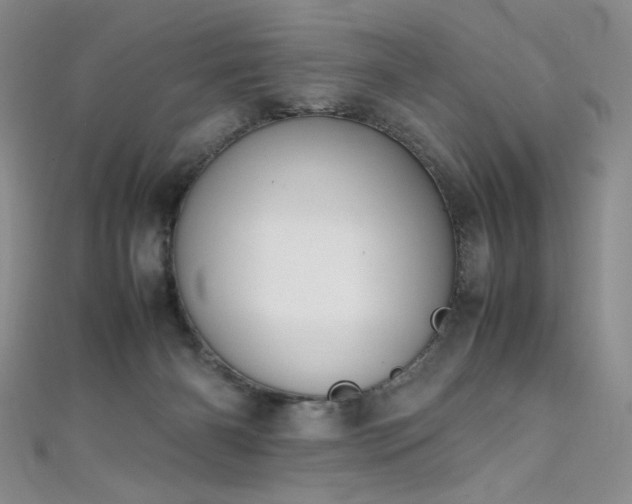 X0000111490126200907141246