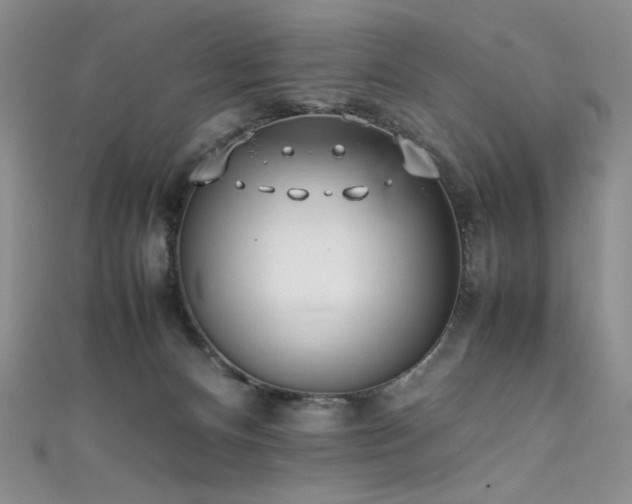 X0000111490128200907141246