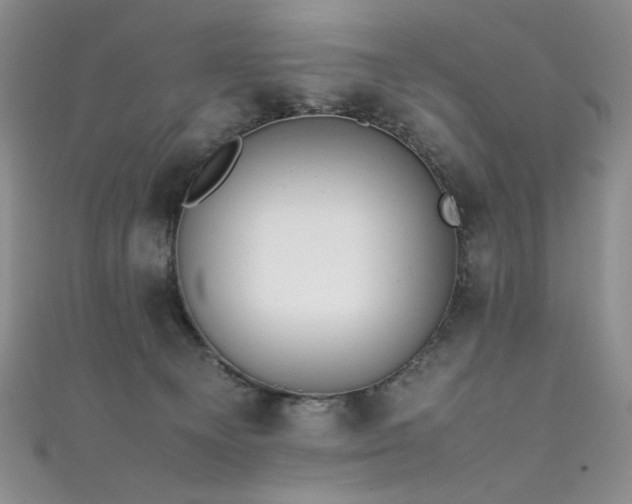 X0000111490129200907141246