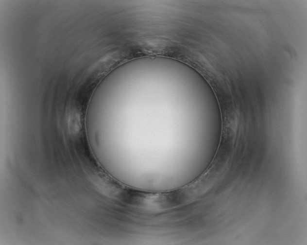 X0000111490130200907141246