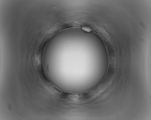 X0000111490131200907141246