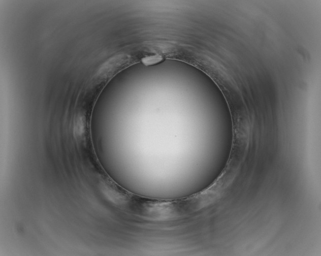 X0000111490132200907141246