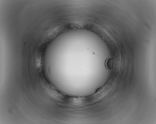 X0000111490134200907141246