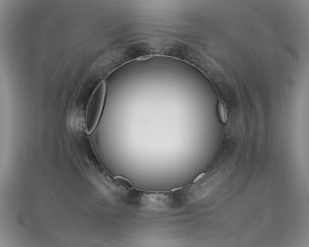 X0000111490137200907141246