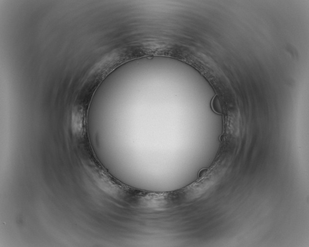 X0000111490138200907141246