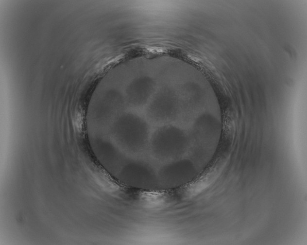 X0000111490139200907141246