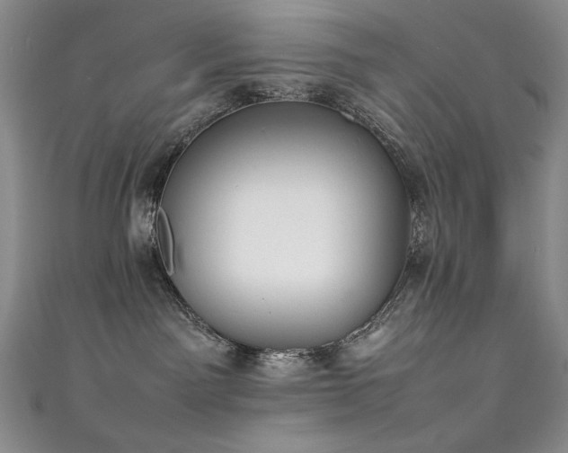 X0000111490141200907141246