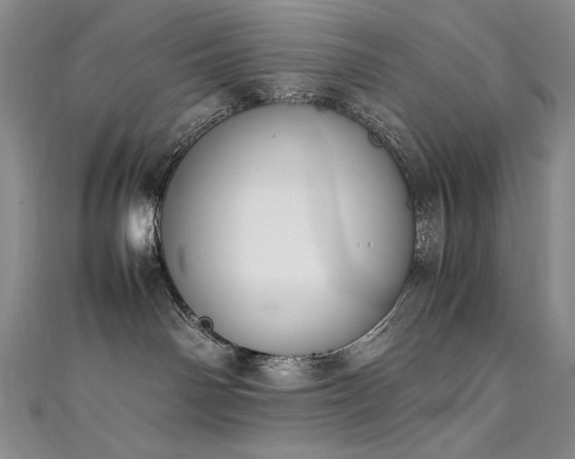 X0000111490142200907141246