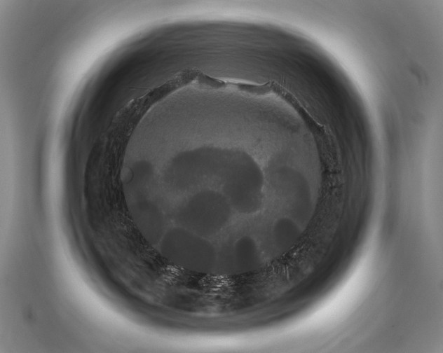 X0000111490143200907141246