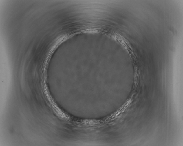 X0000111490145200907141246