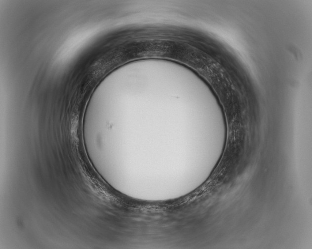 X0000111490146200907141246